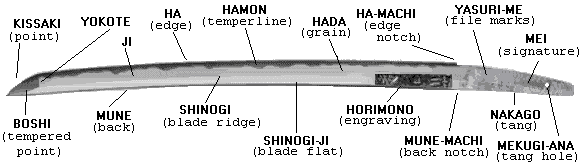 Bitmap Image